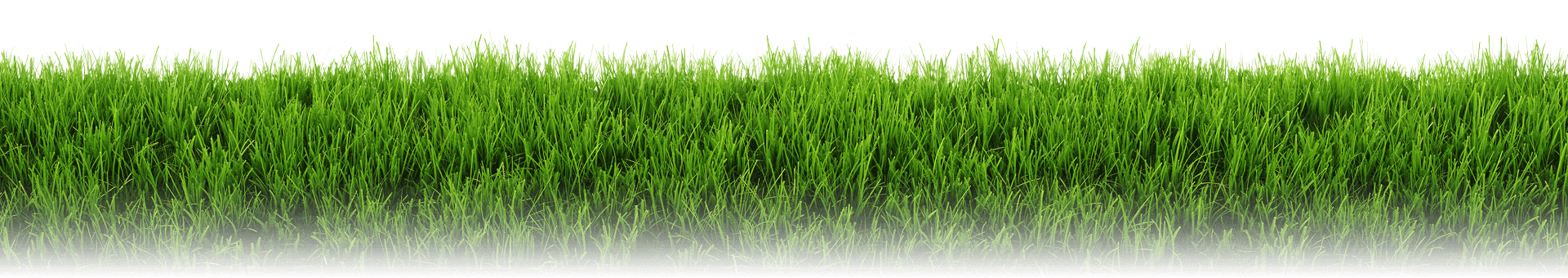 Footer Grass | Popslandscaping