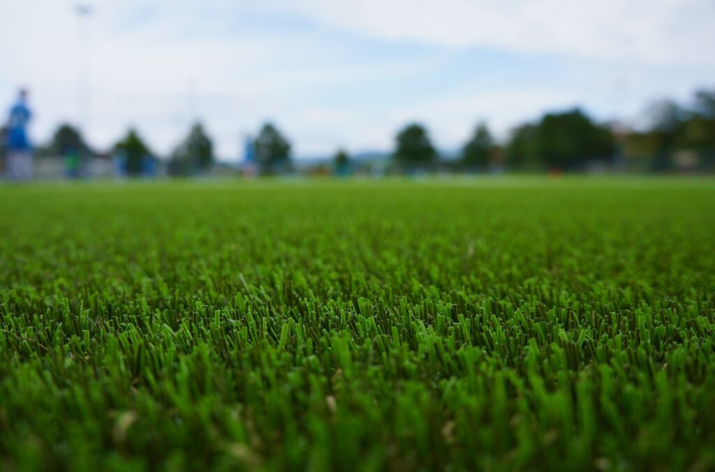 synthetic turf