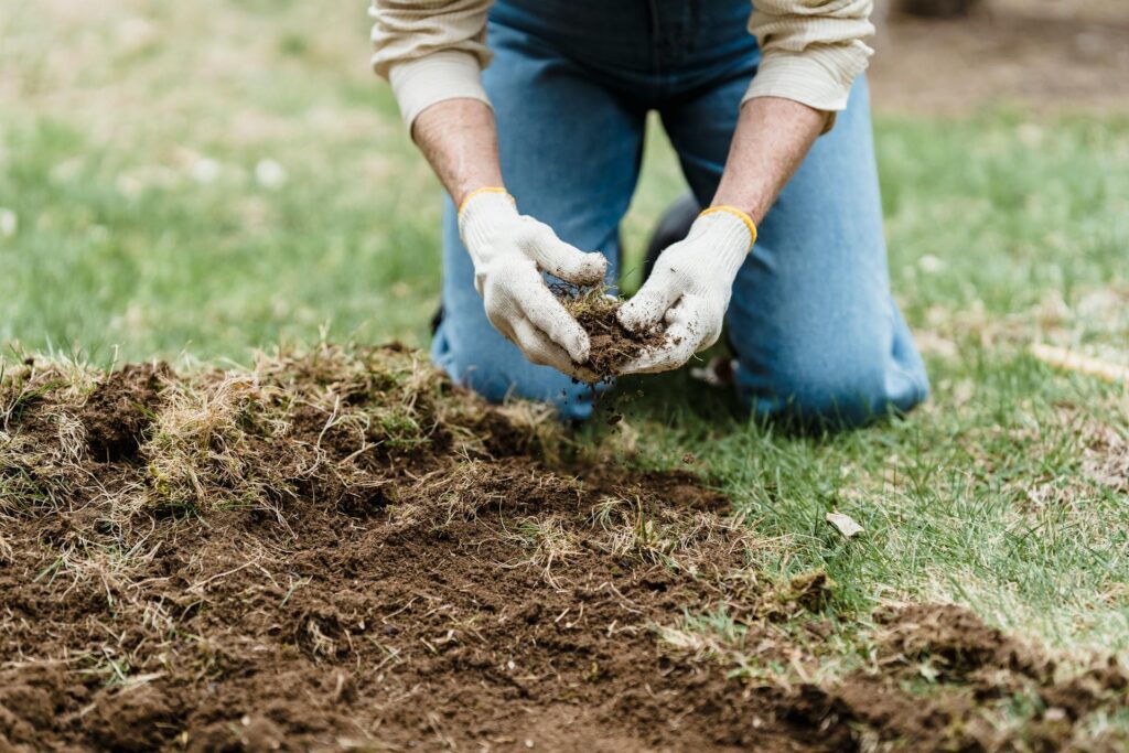 spring lawn care checklist