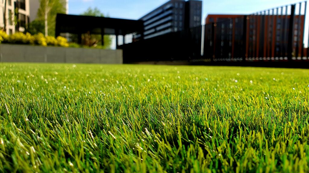 Summer Lawn & Landscape Checklist