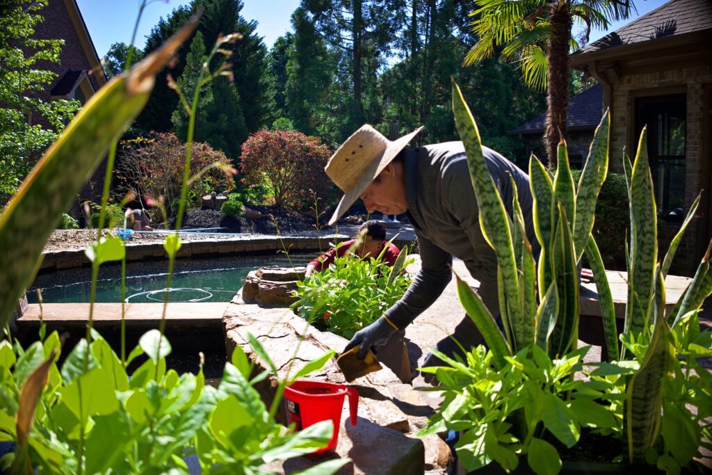 summer landscaping